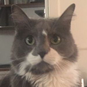 Meet your Posher, Tara